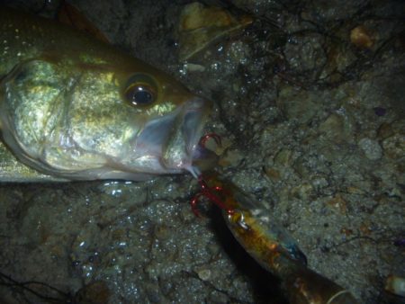 ぽつぽつ雨バス