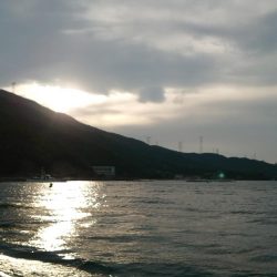 今季初イカメタル