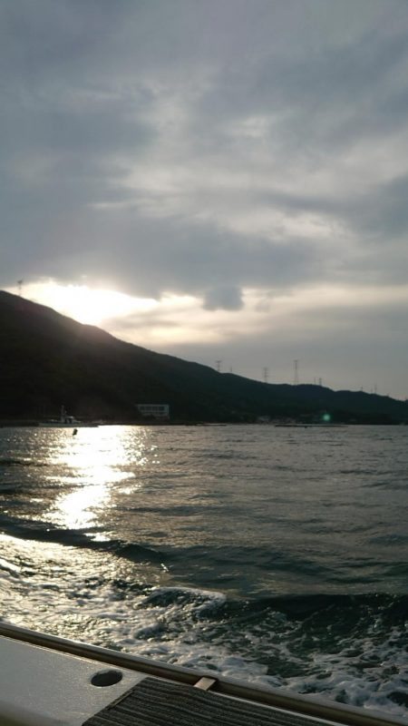 今季初イカメタル