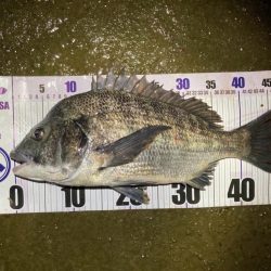 ナイトチニング