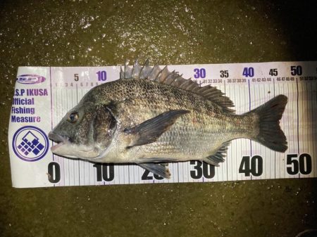 ナイトチニング