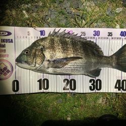 ルアーチヌフィッシング