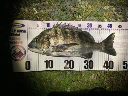 ルアーチヌフィッシング