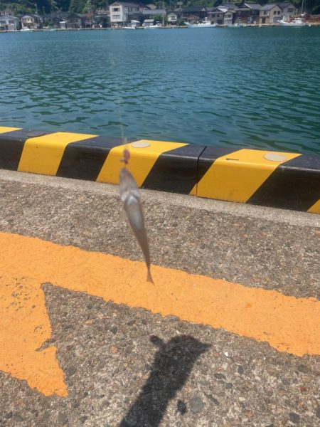 ちょい投げキス好調