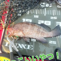 サップフィッシング