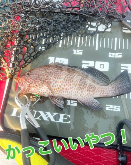 サップフィッシング