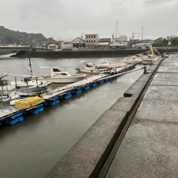 仕事終わりチニング