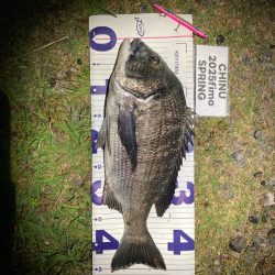 ナイトチニング