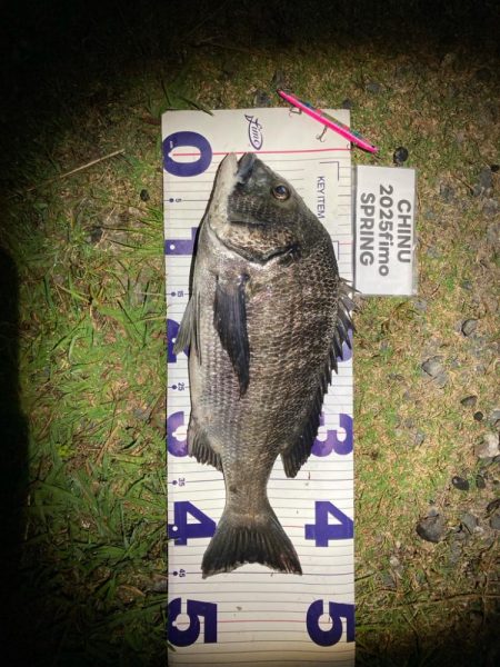 ナイトチニング