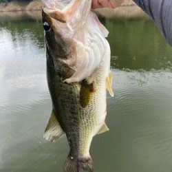 午後から釣行!あと1㎝…