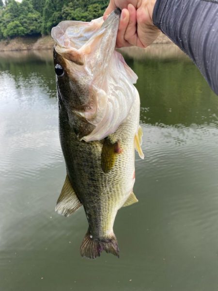 午後から釣行!あと1㎝…