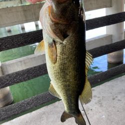 真昼間でもナイスサイズ