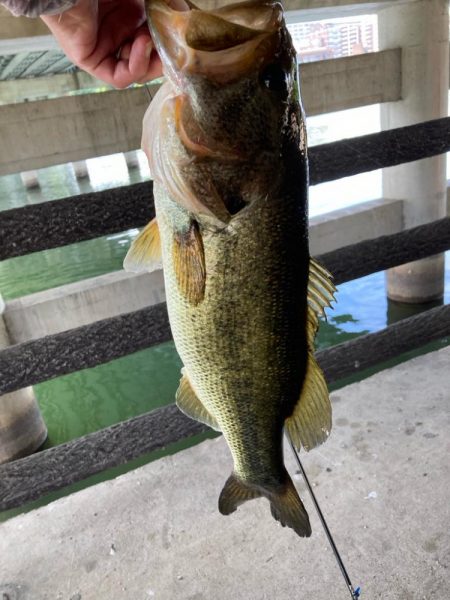 真昼間でもナイスサイズ