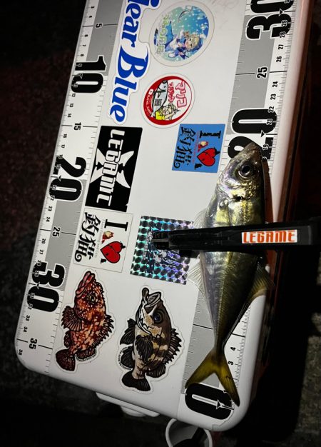 最近の目標は3匹アジング