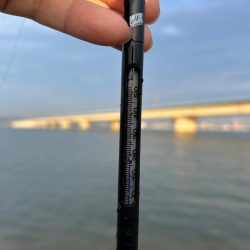 仕事終わりにチニング