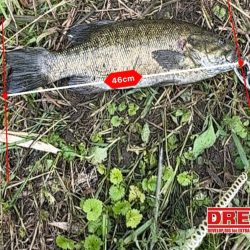 【スモールマウスバス】鬼怒川、覚醒！