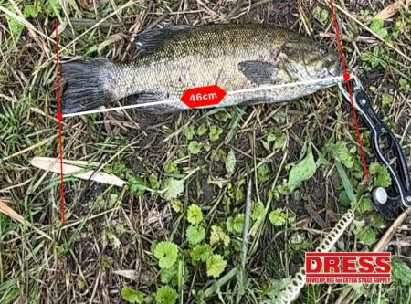 【スモールマウスバス】鬼怒川、覚醒！