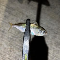 極豆／ミニマム勝負