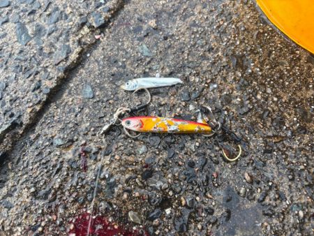 マイクロベイト