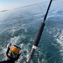 ボートキャスティング