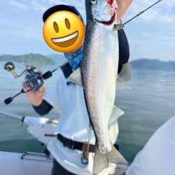 琵琶湖の宝石ビワマス