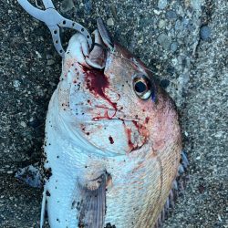 サーフの赤い彗星