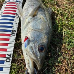 自己記録更新の75センチ