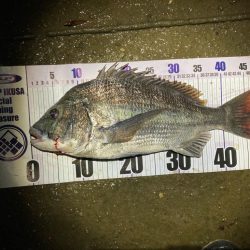 ナイトチニング