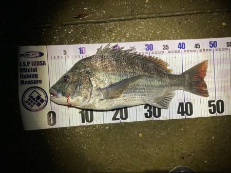 ナイトチニング