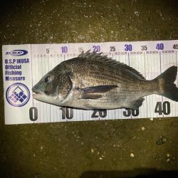 ナイトチニング