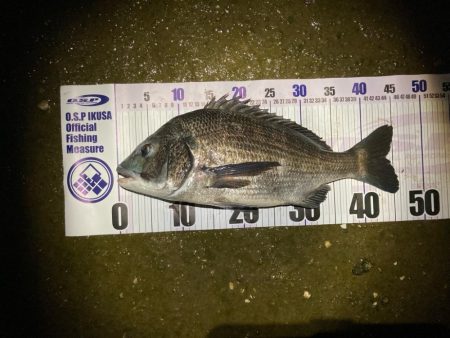 ナイトチニング