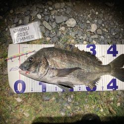 ナイトチニング