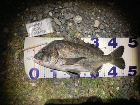 ナイトチニング