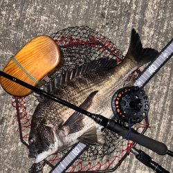 ヘチってきました