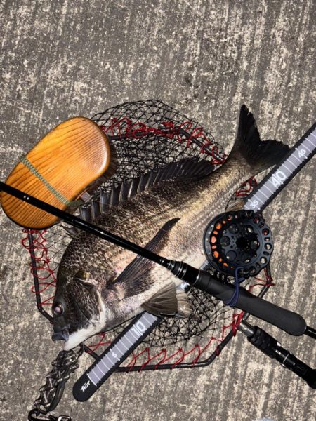 ヘチってきました