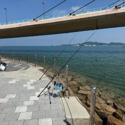 和歌山県毛見にキス釣り