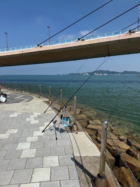 和歌山県毛見にキス釣り