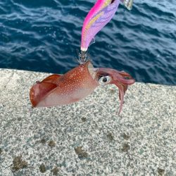 デイゲームケンサキ