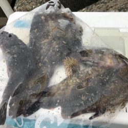 遅いというよりおかしい…