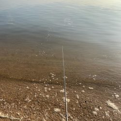 朝マヅメチニング