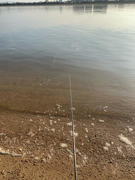 朝マヅメチニング