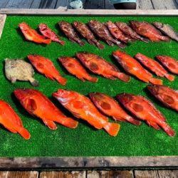 ボートフィッシング