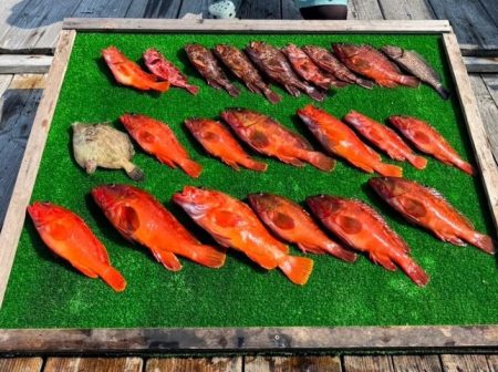 ボートフィッシング