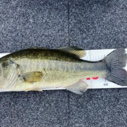 1日ボート釣行!