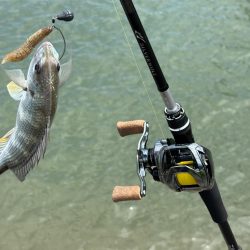 水門閉じたら明らかあたり減る