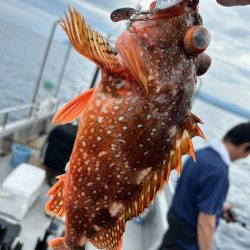 過去一不満な結果。