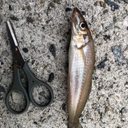 キスまだかな？