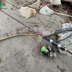 チニングのはずが