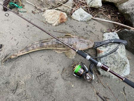 チニングのはずが