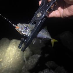 激渋ライトゲーム